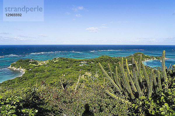 Blick auf die Insel Petit- St-Vincent und den Ozean  St. Vincent und die Grenadinen  Kleine Antillen  Westindische Inseln  Inseln über dem Winde  Karibik  Mittelamerika
