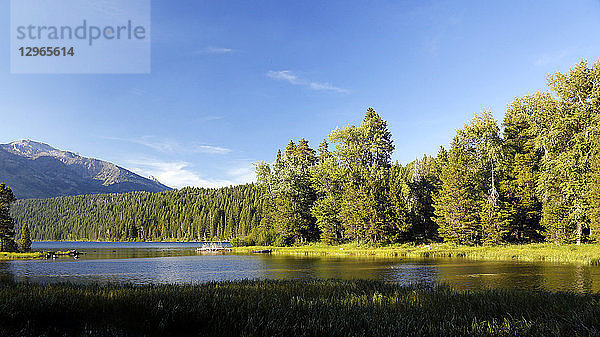 USA. Wyoming. Grand-Teton-Nationalpark. Phelps See.