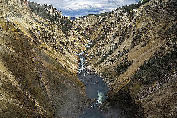 USA  Wyoming  Grand Canyon of the Yellowstone von den Lower Falls  Yellowstone National Park  UNESCO World Heritag [...]