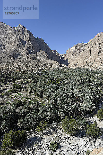 Oman  Dorf und Palmenhain von Halam am Fuße des Djebel-Khadar-Gebirges