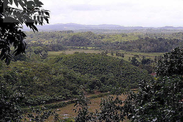 Sri Lanka. Landschaft in der Region Mirissa. Im Hintergrund: Zimtbäume.