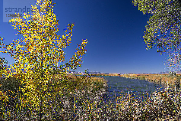 USA  Utah  Rich County  Idaho  Bear Lake County  Bear Lake