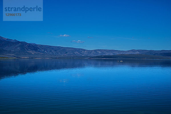 USA  Kalifornien  Mono Lake
