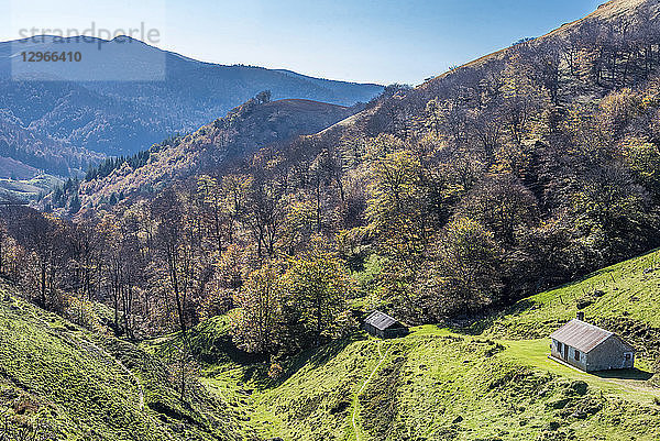 Frankreich  Pyrenäen Atlantiques  Baskenland  Iraty-Massiv  Col de Iratiko et Leopak (1.327 m)  Buchenwald im Herbst