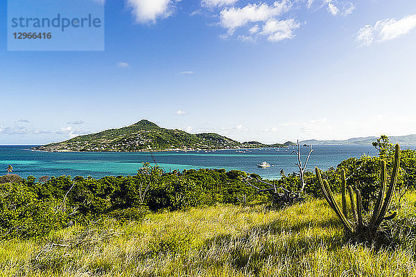 Blick auf die Insel Petite-Martinique und das Meer  St. Vincent und die Grenadinen  Kleine Antillen  Westindische Inseln  Inseln über dem Winde  Karibik  Mittelamerika