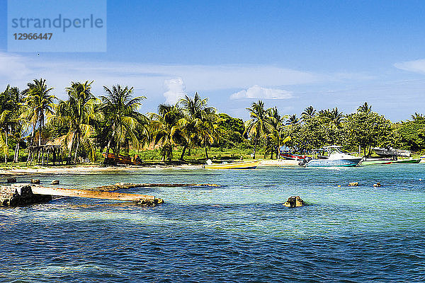 Meer  Kokospalmen und Boote  Clifton  Union  St-Vincent  St. Vincent und die Grenadinen  Kleine Antillen  Westindische Inseln  Inseln über dem Winde  Karibik  Mittelamerika