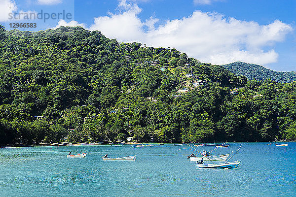 Blick auf die Bucht von Charlotteville und den Strand  Charlotteville  Tobago  Trinidad und Tobago  Westindien  Südamerika