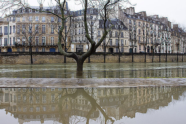 Frankreich  Paris  Departement 75  4. Arrondissement  Ile Saint-Louis  Rückgang des Wasserstands der Seine  Februar 2018.