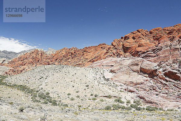 USA. Nevada. Las Vegas. Red Rock Canyon National Conservation Area. Blick von Calico I.