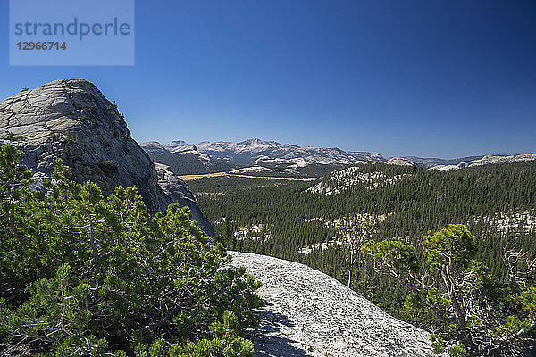 USA  Kalifornien  Yosemite-Nationalpark  am Lembert Dome