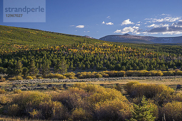 USA UTAH  Ashley National Forest im Herbst