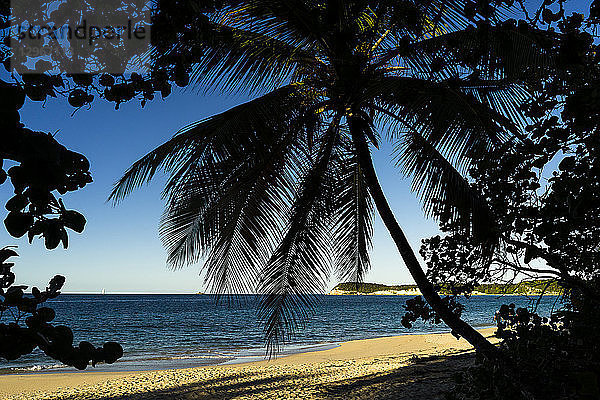 Der einsame Strand von Moustique  Saint-Louis  Marie-Galante  Guadeloupe  Frankreich