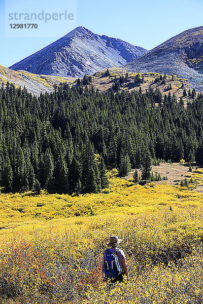 Frau beim Wandern im Herbst in der Mayflower Gulch  Colorado