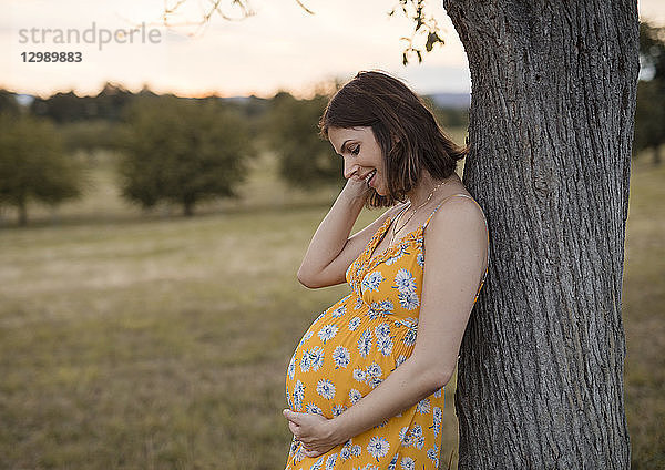 Schwangere Frau lehnt an Baum