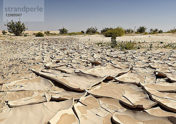 ausgedörrter Boden  Wüste  Oman