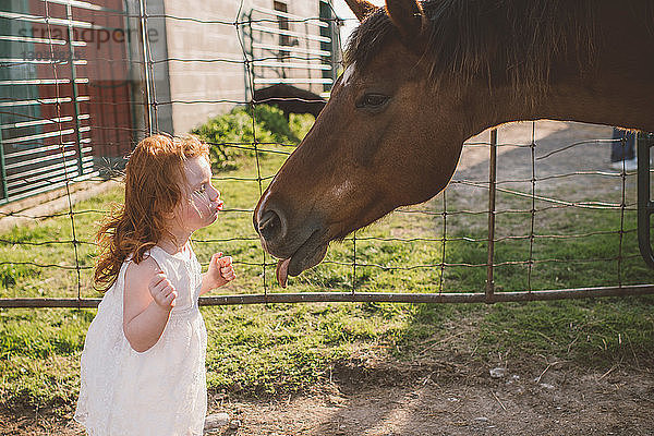 Kleines Mädchen küsst Pferd auf dem Bauernhof auf die Nase