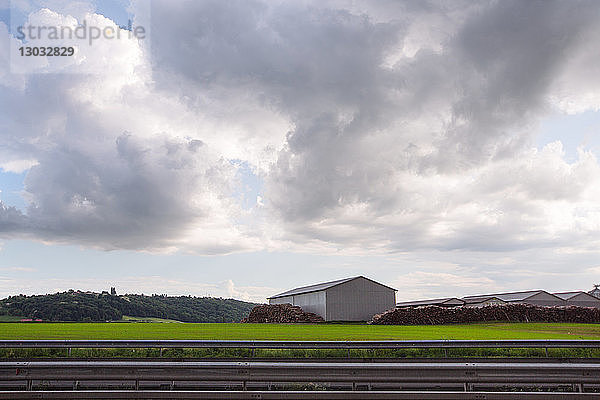 Landschaft mit landwirtschaftlichen Gebäuden und gestapelten Baumstämmen  Francenigo  Venetien  Italien