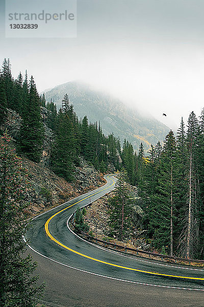 Kurvige Straße durch Wald  Aspen  Colorado  USA