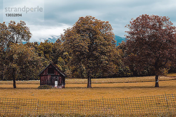 Herbstlandschaft mit rustikalem Landwirtschaftsgebäude  Francenigo  Venetien  Italien