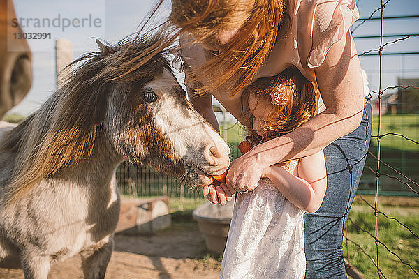 Mutter und Tochter füttern Pony auf dem Bauernhof