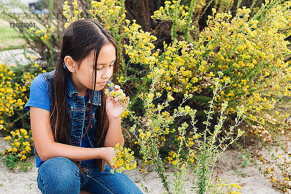 Mädchen kniet nieder  um Pflanze zu riechen