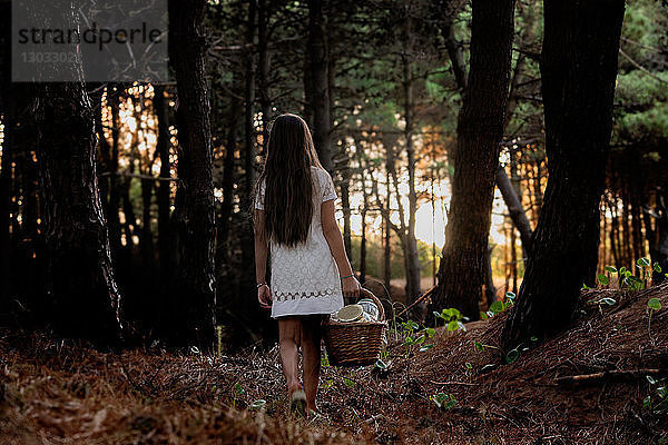 Mädchen mit einem Picknickkorb beim Spaziergang durch den dunklen Wald  Rückansicht