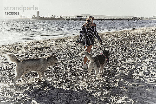 Junge Frau geht mit Haushunden am Strand spazieren