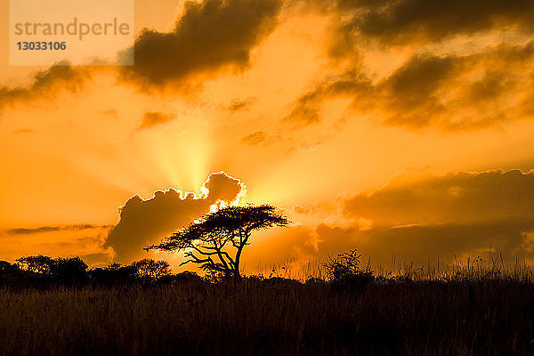 Sonnenuntergang  Zululand  Südafrika