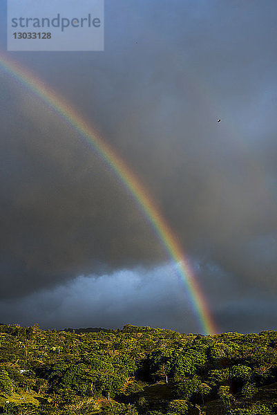 Regenbogen über dem Monteverde-Nebelwaldreservat bei Sonnenuntergang  Puntarenas  Costa Rica