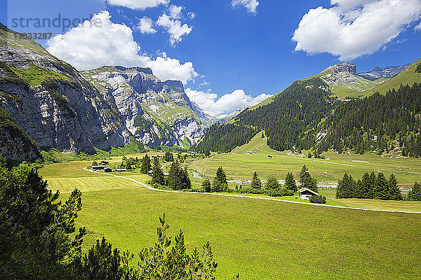 Höhenansicht des Val Bargis im Sommer  Flims  Bezirk Imboden  Kanton Graubünden  Schweiz