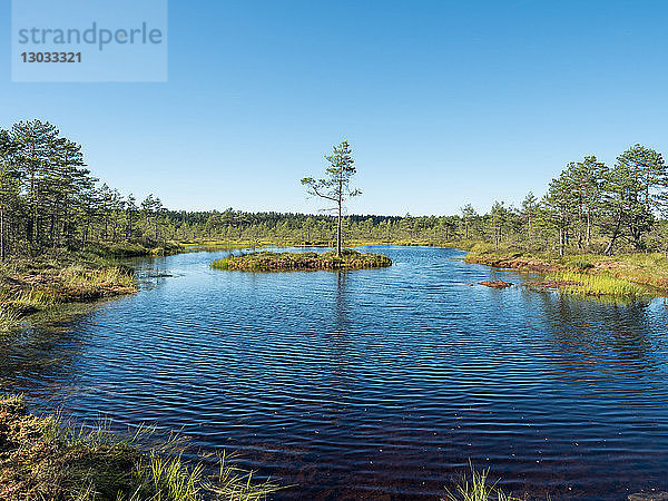 Viru-Moor  Lahemaa-Nationalpark  Estland  Baltikum