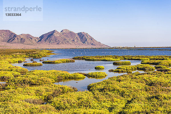 Naturpark Cabo de Gata-Nijar  Almeria  Andalusien  Spanien