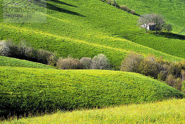Die Hügel von Bergamo im Frühling  Provinz Bergamo  Region Lombardei  Italien