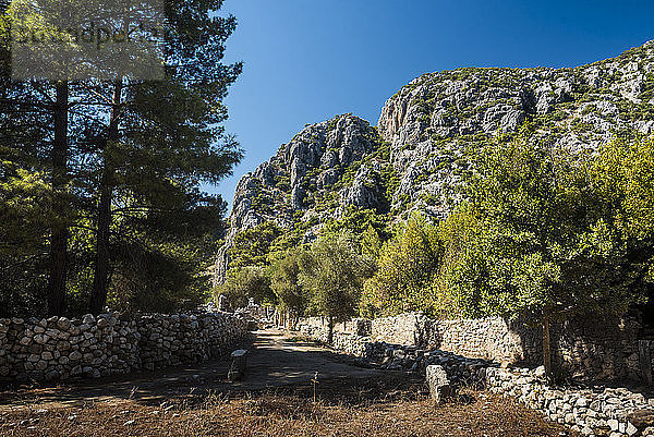 Ruinen von Olympos  Provinz Antalya  Lykien  Anatolien  Mittelmeer  kleine Türkei