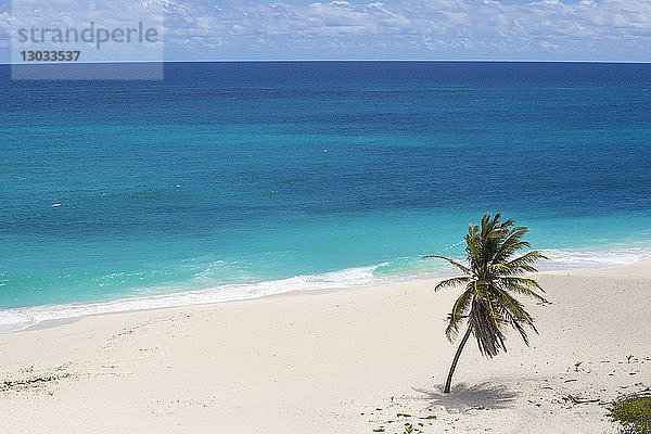 Foul Bay  Barbados  Westindien  Karibik