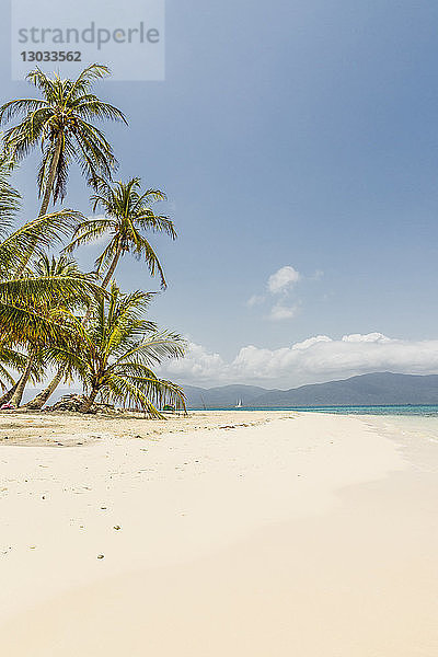 Die wunderschöne Insel Pelicano auf den San Blas Inseln  Kuna Yala  Panama