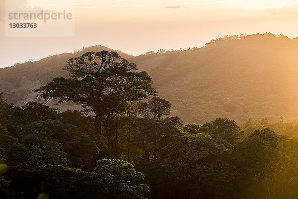 Nebelwaldreservat Monteverde bei Sonnenuntergang  Puntarenas  Costa Rica