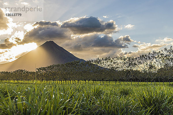 Vulkan Arenal  gesehen von La Fortuna de San Carlos  Costa Rica  Mittelamerika