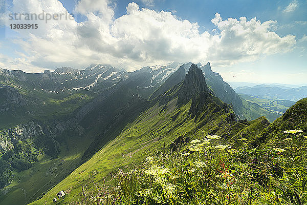 Peak Santis vom Schafler aus gesehen im Sommer  Appenzell Innerrhoden  Schweiz