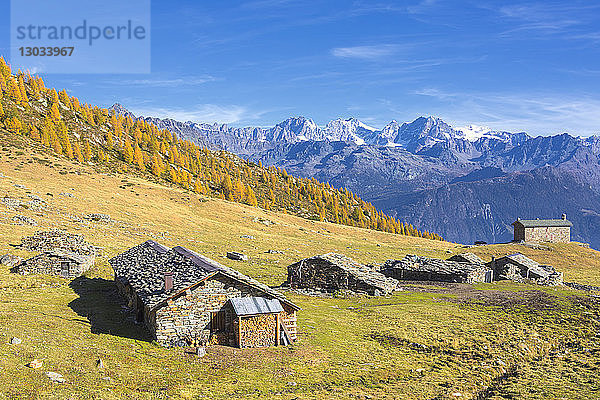 Steinhütten und bunte Wälder im Herbst mit Bernina-Gruppe im Hintergrund  Alpe Arcoglio Valmalenco  Valtellina  Lombardei  Italien