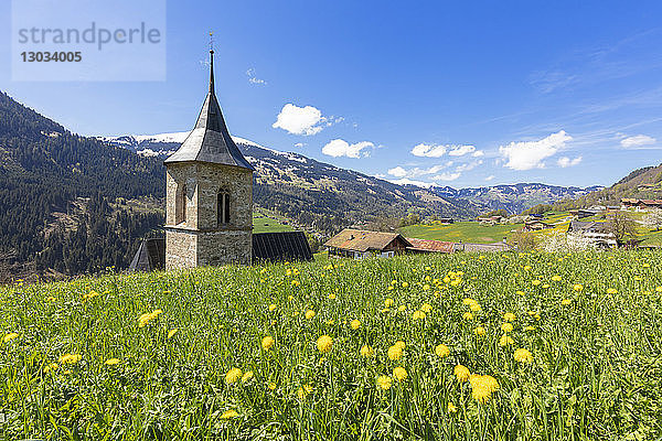 Glockenturm umgeben von Wildblumen und Wiesen im Frühling  Luzein  Region Prattigau-Davos  Kanton Graubünden  Schweiz