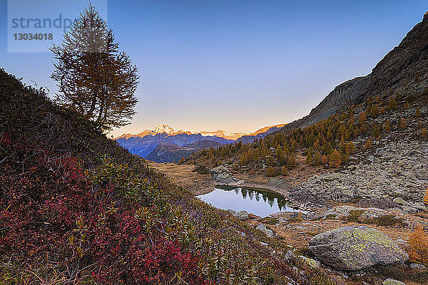 Herbstlicher Sonnenaufgang auf dem Monte Disgrazia und den Campagnedaseen  Valmalenco  Valtellina  Provinz Sondrio  Lombardei  Italien