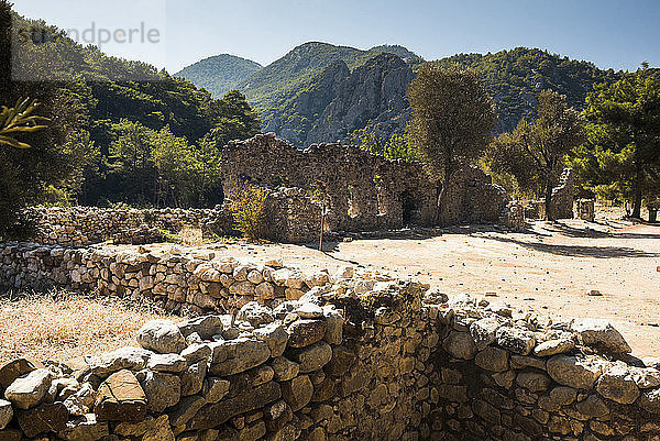 Ruinen von Olympos  Provinz Antalya  Lykien  Anatolien  Mittelmeer  kleine Türkei