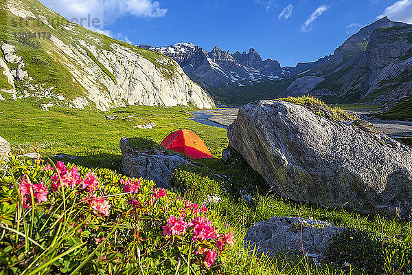 Die Sonne beleuchtet ein rotes Zelt  Unterer Segnesboden  Flims  Bezirk Imboden  Kanton Graubünden  Schweiz