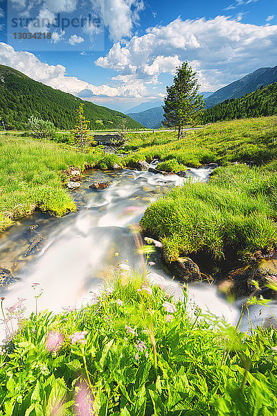 Bach im Stilfserjoch-Nationalpark  Mortirolo-Pass in Vall Camonica  Brescia  Lombardei  Italien