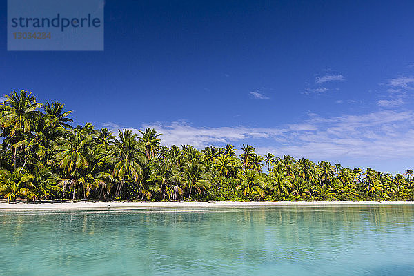 Kokosnusspalmen säumen den Strand von One Foot Island  Aitutaki  Cookinseln  Südpazifik