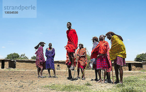 Masai Mara Männer führen traditionelle Sprünge durch  um sich eine Braut zu sichern  Masai Mara National Reserve  Kenia  Ostafrika