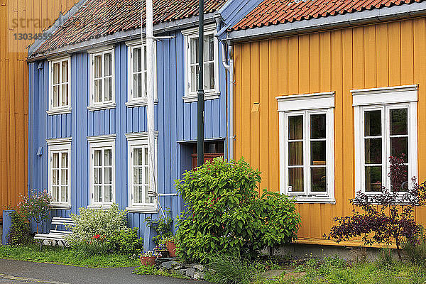 Bezirk Mollenberg  Stadt Trondheim  Landkreis Trondelag  Norwegen  Skandinavien