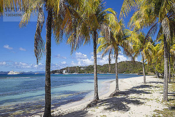 Strand Brittania Bay  Mustique  Die Grenadinen  St. Vincent und die Grenadinen  Westindien  Karibik