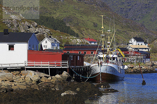 Fischfabrik  Fischerdorf Ballstad  Lofoten-Inseln  Bezirk Nordland  Arktis  Norwegen  Skandinavien